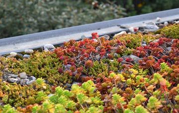 the cost of Amatnatua green roof installation