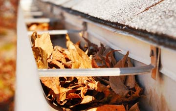Amatnatua gutter cleaning companies