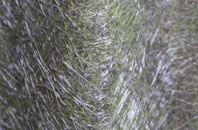 Amatnatua fibreglass roof work