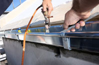 free Amatnatua fascia quotes